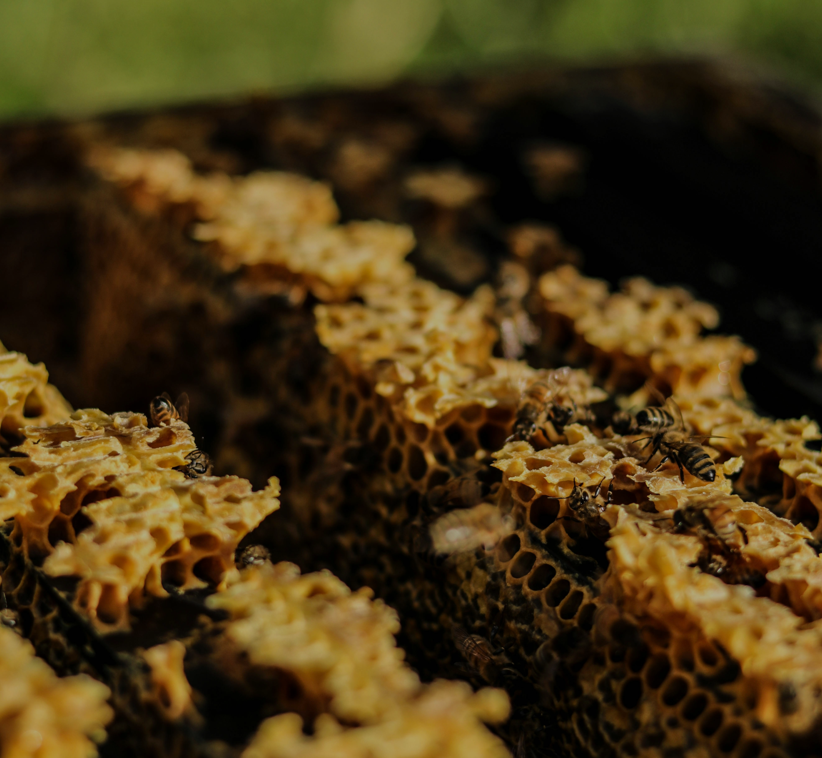 Component 1.png__PID:6d0aca2e-54bf-481a-a925-47bbcbfa175c