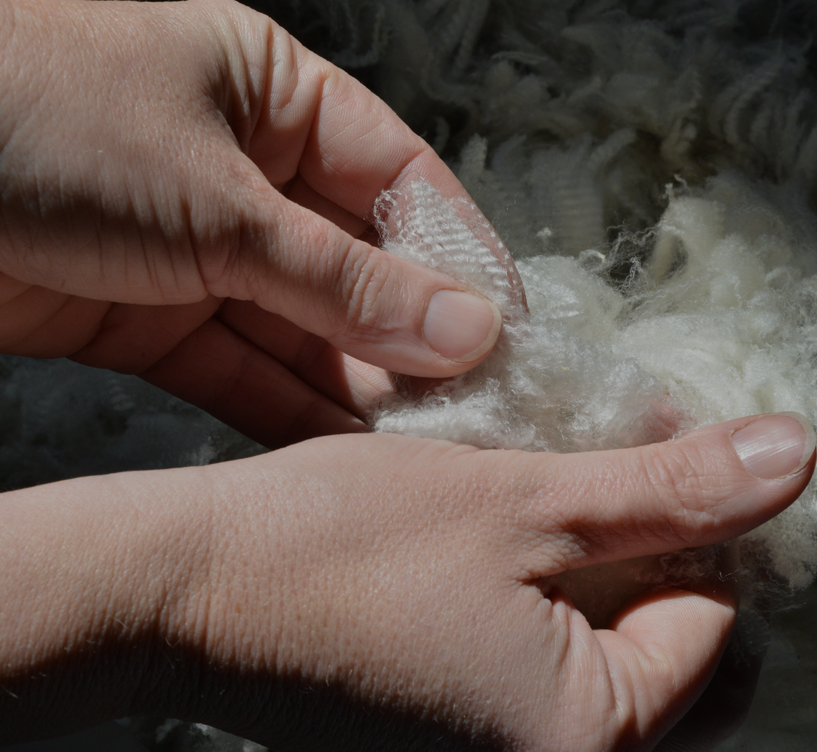 Component 3.png__PID:94504492-2a50-4ee0-ad26-03cd54776880